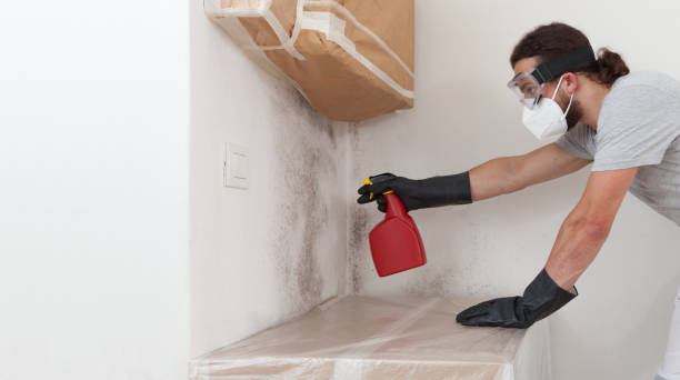 Professional Attic Mold Remediation technician working in Marco Island, FL