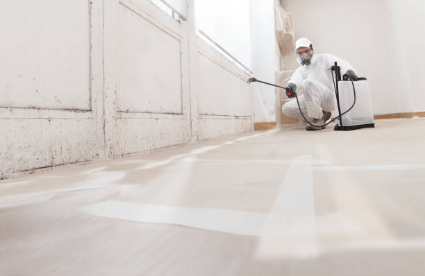 24/7 Emergency Attic Mold Remediation experts in Marco Island, FL